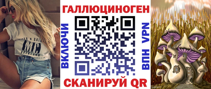 Галлюциногенные грибы Psilocybe Весьегонск